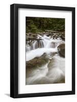 Cascades on Deception Creek, Mount Baker-Snoqualmie National Forest, Washington, U.S.A.-James Hager-Framed Photographic Print