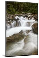 Cascades on Deception Creek, Mount Baker-Snoqualmie National Forest, Washington, U.S.A.-James Hager-Mounted Photographic Print