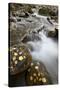 Cascades on the Big Bear Creek in the Fall-James Hager-Stretched Canvas