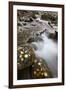 Cascades on the Big Bear Creek in the Fall-James Hager-Framed Photographic Print