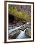 Cascades on the Virgin River in the Fall, Zion National Park, Utah, USA-null-Framed Photographic Print