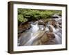 Cascades on Yellow Dog Creek, Coeur D'Alene Nat'l Forest, Idaho Panhandle Nat'l Forests, Idaho, USA-James Hager-Framed Photographic Print