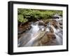 Cascades on Yellow Dog Creek, Coeur D'Alene Nat'l Forest, Idaho Panhandle Nat'l Forests, Idaho, USA-James Hager-Framed Photographic Print