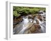 Cascades on Yellow Dog Creek, Coeur D'Alene Nat'l Forest, Idaho Panhandle Nat'l Forests, Idaho, USA-James Hager-Framed Photographic Print