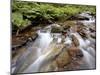 Cascades on Yellow Dog Creek, Coeur D'Alene Nat'l Forest, Idaho Panhandle Nat'l Forests, Idaho, USA-James Hager-Mounted Photographic Print