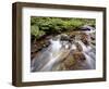 Cascades on Yellow Dog Creek, Coeur D'Alene Nat'l Forest, Idaho Panhandle Nat'l Forests, Idaho, USA-James Hager-Framed Photographic Print