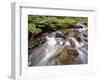 Cascades on Yellow Dog Creek, Coeur D'Alene Nat'l Forest, Idaho Panhandle Nat'l Forests, Idaho, USA-James Hager-Framed Photographic Print