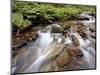 Cascades on Yellow Dog Creek, Coeur D'Alene Nat'l Forest, Idaho Panhandle Nat'l Forests, Idaho, USA-James Hager-Mounted Photographic Print