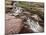 Cascades over Red Rock, Glacier National Park, Montana, United States of America, North America-James Hager-Mounted Photographic Print