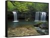 Cascades, Ozark National Forest Arkansas, USA-Charles Gurche-Framed Stretched Canvas