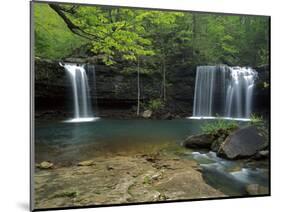 Cascades, Ozark National Forest Arkansas, USA-Charles Gurche-Mounted Photographic Print