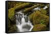 Cascades Through Moss-Covered Boulders-James-Framed Stretched Canvas