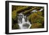 Cascades Through Moss-Covered Boulders-James-Framed Photographic Print