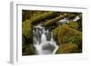 Cascades Through Moss-Covered Boulders-James-Framed Photographic Print