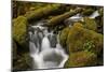 Cascades Through Moss-Covered Boulders-James-Mounted Photographic Print