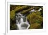 Cascades Through Moss-Covered Boulders-James-Framed Photographic Print