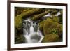 Cascades Through Moss-Covered Boulders-James-Framed Photographic Print