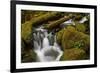 Cascades Through Moss-Covered Boulders-James-Framed Photographic Print