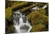 Cascades Through Moss-Covered Boulders-James-Mounted Photographic Print