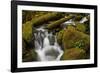 Cascades Through Moss-Covered Boulders-James-Framed Photographic Print