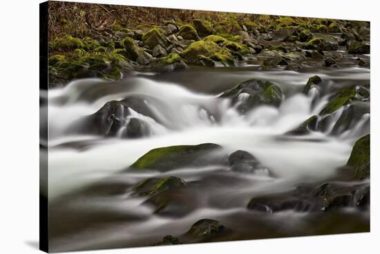Cascades Through Moss-Covered Boulders-James-Stretched Canvas