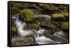 Cascades Through Moss-Covered Boulders-James-Framed Stretched Canvas