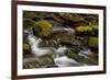 Cascades Through Moss-Covered Boulders-James-Framed Photographic Print