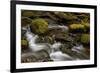 Cascades Through Moss-Covered Boulders-James-Framed Photographic Print