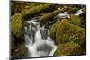 Cascades Through Moss-Covered Boulders-James-Mounted Photographic Print