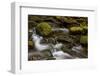 Cascades Through Moss-Covered Boulders-James-Framed Photographic Print