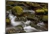 Cascades Through Moss-Covered Boulders-James-Mounted Photographic Print