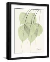 Cascading Bo Tree-Albert Koetsier-Framed Art Print