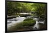 Cascading Creek, Great Smoky Mountains National Park, Tennessee, USA-null-Framed Photographic Print