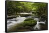 Cascading Creek, Great Smoky Mountains National Park, Tennessee, USA-null-Framed Stretched Canvas