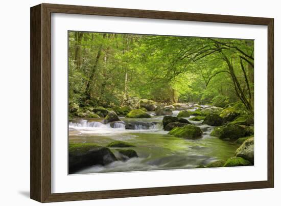 Cascading Creek, Great Smoky Mountains National Park, Tennessee, USA-null-Framed Photographic Print