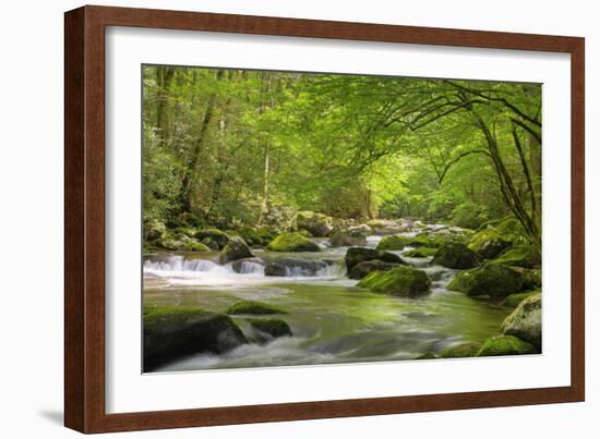 Cascading Creek, Great Smoky Mountains National Park, Tennessee, USA-null-Framed Photographic Print