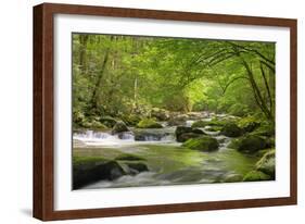 Cascading Creek, Great Smoky Mountains National Park, Tennessee, USA-null-Framed Photographic Print