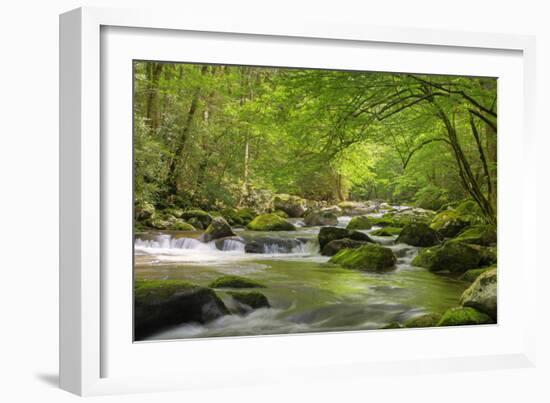 Cascading Creek, Great Smoky Mountains National Park, Tennessee, USA-null-Framed Photographic Print