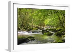 Cascading Creek, Great Smoky Mountains National Park, Tennessee, USA-null-Framed Photographic Print