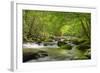 Cascading Creek, Great Smoky Mountains National Park, Tennessee, USA-null-Framed Photographic Print