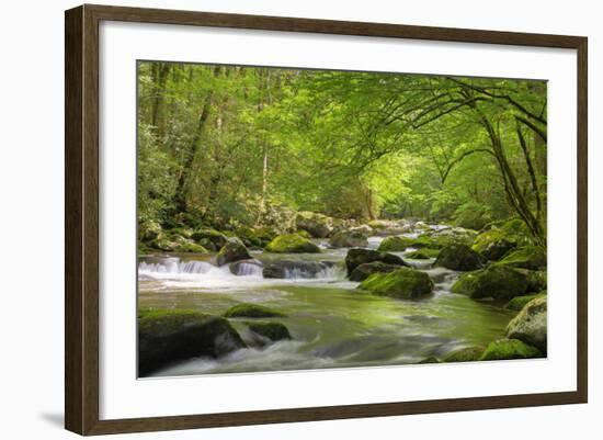 Cascading Creek, Great Smoky Mountains National Park, Tennessee, USA-null-Framed Photographic Print