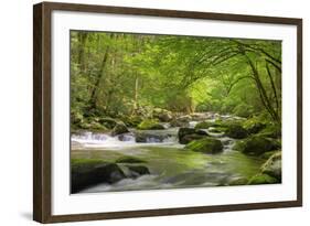 Cascading Creek, Great Smoky Mountains National Park, Tennessee, USA-null-Framed Photographic Print