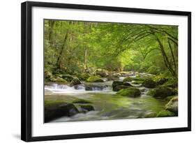 Cascading Creek, Great Smoky Mountains National Park, Tennessee, USA-null-Framed Photographic Print