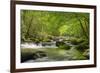 Cascading Creek, Great Smoky Mountains National Park, Tennessee, USA-null-Framed Photographic Print