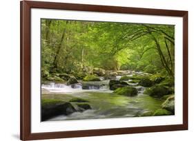 Cascading Creek, Great Smoky Mountains National Park, Tennessee, USA-null-Framed Photographic Print