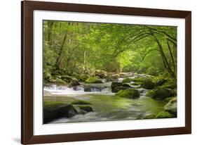 Cascading Creek, Great Smoky Mountains National Park, Tennessee, USA-null-Framed Photographic Print