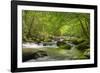 Cascading Creek, Great Smoky Mountains National Park, Tennessee, USA-null-Framed Photographic Print