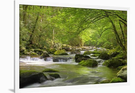 Cascading Creek, Great Smoky Mountains National Park, Tennessee, USA-null-Framed Photographic Print