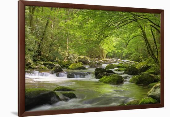 Cascading Creek, Great Smoky Mountains National Park, Tennessee, USA-null-Framed Photographic Print