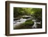 Cascading Creek, Great Smoky Mountains National Park, Tennessee, USA-null-Framed Photographic Print